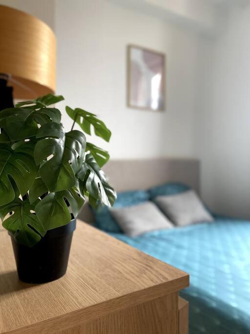 Appartement 2 Pieces A Quelques Minutes De Paris Le Pré-Saint-Gervais Zewnętrze zdjęcie